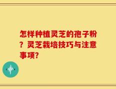 怎样种植灵芝的孢子粉？灵芝栽培技巧与注意事项？