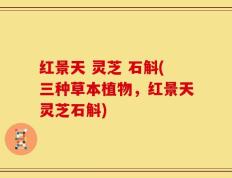红景天 灵芝 石斛(三种草本植物，红景天灵芝石斛)