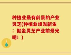 种植业最有前景的产业灵芝(种植业焕发新生：掘金灵芝产业前景光明！)