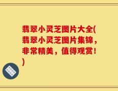 翡翠小灵芝图片大全(翡翠小灵芝图片集锦，非常精美，值得观赏！)
