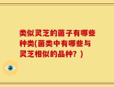 类似灵芝的菌子有哪些种类(菌类中有哪些与灵芝相似的品种？)