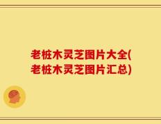 老桩木灵芝图片大全(老桩木灵芝图片汇总)