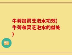 牛蒡加灵芝泡水功效(牛蒡和灵芝泡水的益处)
