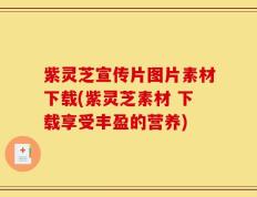 紫灵芝宣传片图片素材下载(紫灵芝素材 下载享受丰盈的营养)