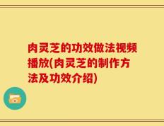 肉灵芝的功效做法视频播放(肉灵芝的制作方法及功效介绍)