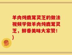 羊肉炖鹿茸灵芝的做法视频学做羊肉炖鹿茸灵芝，鲜香美味大家赞！)