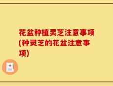 花盆种植灵芝注意事项(种灵芝的花盆注意事项)