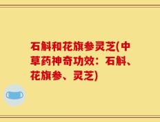 石斛和花旗参灵芝(中草药神奇功效：石斛、花旗参、灵芝)