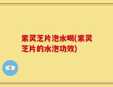紫灵芝片泡水喝(紫灵芝片的水泡功效)