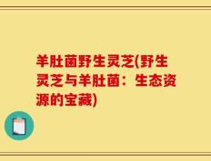 羊肚菌野生灵芝(野生灵芝与羊肚菌：生态资源的宝藏)