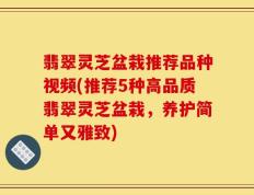 翡翠灵芝盆栽推荐品种视频(推荐5种高品质翡翠灵芝盆栽，养护简单又雅致)