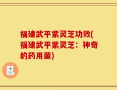 福建武平紫灵芝功效(福建武平紫灵芝：神奇的药用菌)
