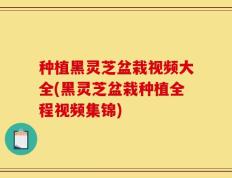 种植黑灵芝盆栽视频大全(黑灵芝盆栽种植全程视频集锦)