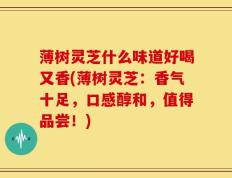薄树灵芝什么味道好喝又香(薄树灵芝：香气十足，口感醇和，值得品尝！)