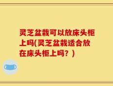 灵芝盆栽可以放床头柜上吗(灵芝盆栽适合放在床头柜上吗？)