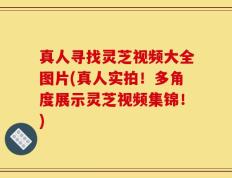 真人寻找灵芝视频大全图片(真人实拍！多角度展示灵芝视频集锦！)