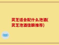 灵芝适合配什么泡酒(灵芝泡酒佳酿推荐)
