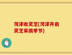 菏泽收灵芝(菏泽开启灵芝采摘季节)