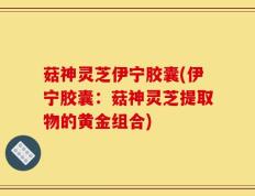 菇神灵芝伊宁胶囊(伊宁胶囊：菇神灵芝提取物的黄金组合)