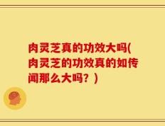 肉灵芝真的功效大吗(肉灵芝的功效真的如传闻那么大吗？)