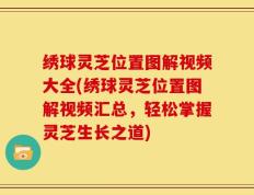 绣球灵芝位置图解视频大全(绣球灵芝位置图解视频汇总，轻松掌握灵芝生长之道)