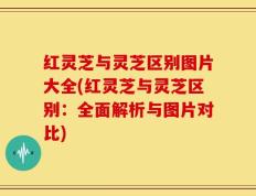 红灵芝与灵芝区别图片大全(红灵芝与灵芝区别：全面解析与图片对比)