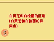 白灵芝和白栓菌的区别(白灵芝和白栓菌的异同点)