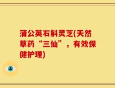 蒲公英石斛灵芝(天然草药“三仙”，有效保健护理)