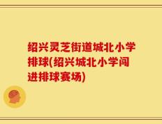 绍兴灵芝街道城北小学排球(绍兴城北小学闯进排球赛场)