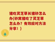 猪吃灵芝草长猪砂怎么办(砂窝猪吃了灵芝草怎么办？有效应对方法分享！)