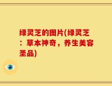 绿灵芝的图片(绿灵芝：草本神奇，养生美容圣品)