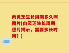 肉灵芝生长周期多久啊图片(肉灵芝生长周期照片揭示，需要多长时间？)