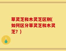 草灵芝和木灵芝区别(如何区分草灵芝和木灵芝？)