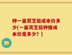 种一亩灵芝菇成本价多少(一亩灵芝菇种植成本价是多少？)