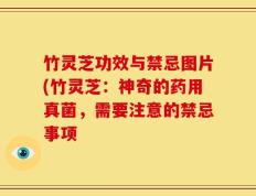 竹灵芝功效与禁忌图片(竹灵芝：神奇的药用真菌，需要注意的禁忌事项