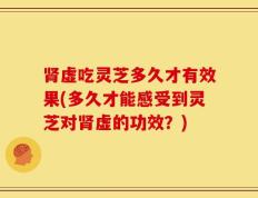 肾虚吃灵芝多久才有效果(多久才能感受到灵芝对肾虚的功效？)