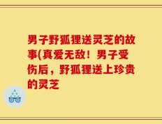 男子野狐狸送灵芝的故事(真爱无敌！男子受伤后，野狐狸送上珍贵的灵芝