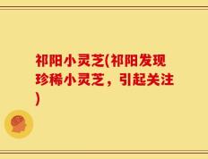祁阳小灵芝(祁阳发现珍稀小灵芝，引起关注)