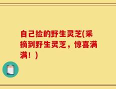自己捡的野生灵芝(采摘到野生灵芝，惊喜满满！)