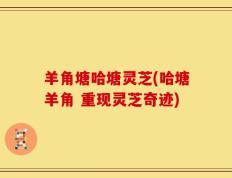 羊角塘哈塘灵芝(哈塘羊角 重现灵芝奇迹)