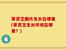 草灵芝图片生长在哪里(草灵芝生长环境在哪里？)