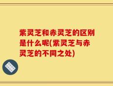 紫灵芝和赤灵芝的区别是什么呢(紫灵芝与赤灵芝的不同之处)