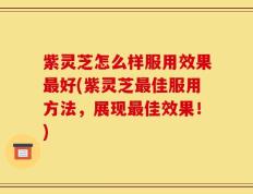 紫灵芝怎么样服用效果最好(紫灵芝最佳服用方法，展现最佳效果！)