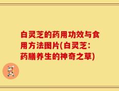 白灵芝的药用功效与食用方法图片(白灵芝：药膳养生的神奇之草)