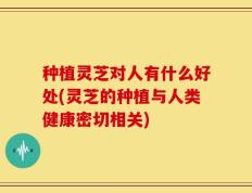 种植灵芝对人有什么好处(灵芝的种植与人类健康密切相关)