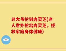 老大爷挖到肉灵芝(老人意外挖出肉灵芝，拯救家庭身体健康)