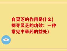 自灵芝的作用是什么(探寻灵芝的功效：一种常见中草药的益处)