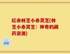 红赤林芝小赤灵芝(林芝小赤灵芝：神奇的藏药资源)