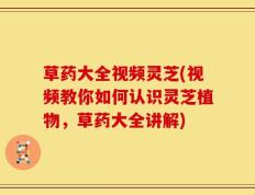 草药大全视频灵芝(视频教你如何认识灵芝植物，草药大全讲解)