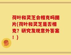 荷叶和灵芝会相克吗图片(荷叶和灵芝是否相克？研究发现意外答案！)